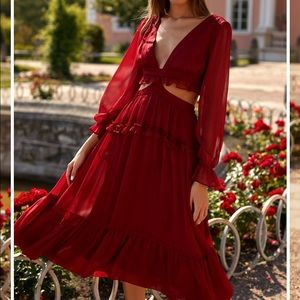 NWT Burgundy Magali dress